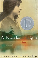 Cover of A Northern Light