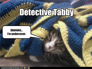 Detective Tabby
