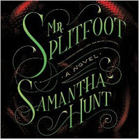 Mr. Splitfoot by Samantha Hunt Book Cover