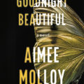 Goodnight Beautiful by Aimee Molloy Book Cover