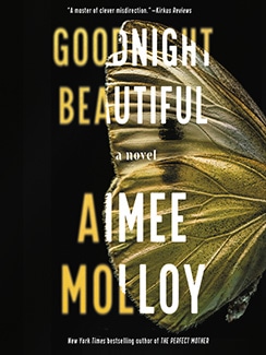 Goodnight Beautiful by Aimee Molloy Book Cover