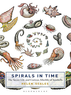Spirals in Time by Helen Scales Book Cover