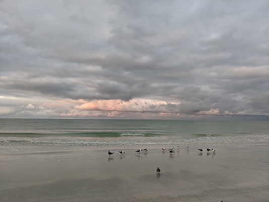 Sunrise on Siesta Key