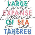 A Very Large Expanse of Sea by Tahereh Mafi Book Cover
