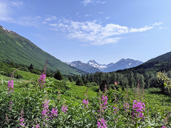 Crow's Pass