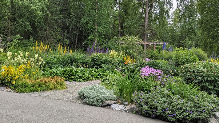 Alaska Botanical Garden