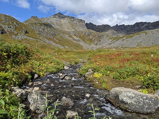 East Fork of Fishhook Creek