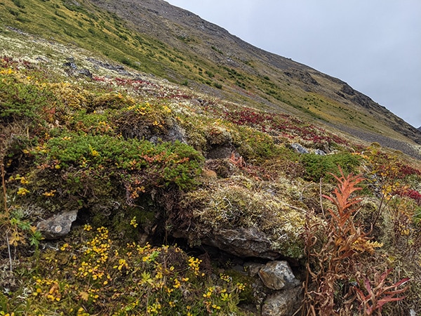 Crow Pass in Fall