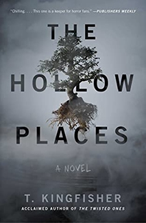Hollow Places by T. Kingfisher Book Cover