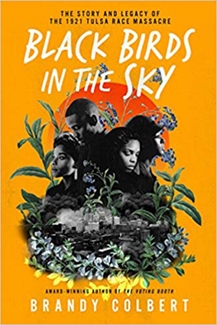 Black Birds in the Sky by Brandy Colbert Book Cover