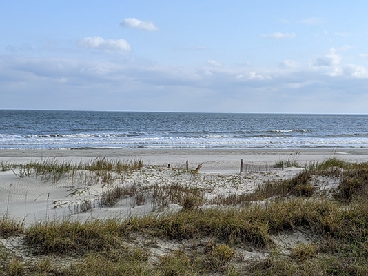 Folly Beach Dunes