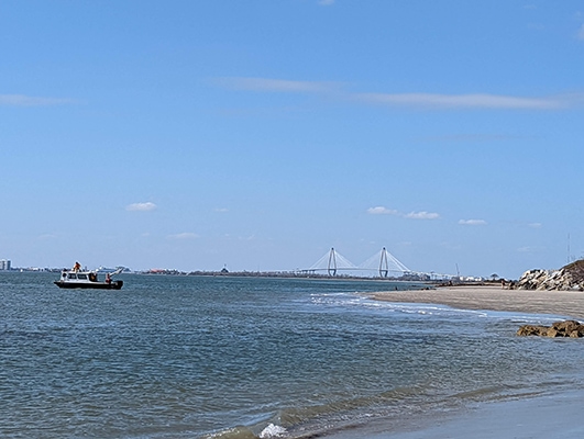 Ravenel Bridge