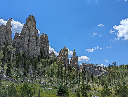 Cathedral Spires in Custer State Park