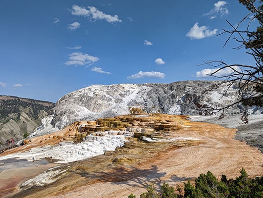 Mammoth Hot Springs