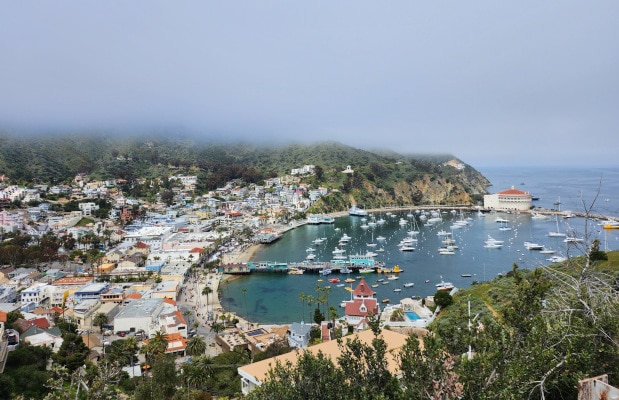 The town of Avalon climbs the hills of Catalina surrounding the waters of Avalon Bay