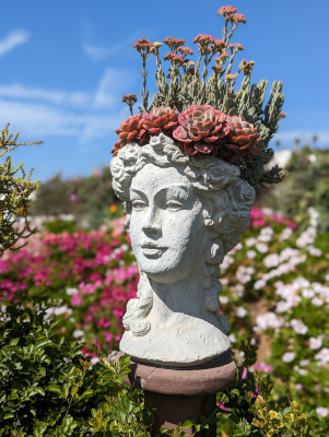 A flower pot in the shape of a woman's head with a row of succulents growing as her crown and upright flowers growing behind them
