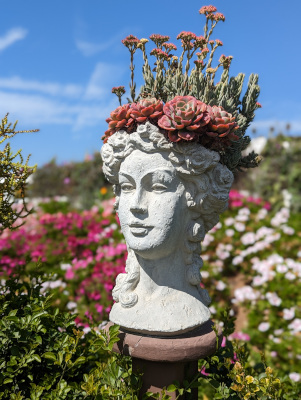 A flower pot in the shape of a woman's head with a row of succulents growing as her crown and upright flowers growing behind them