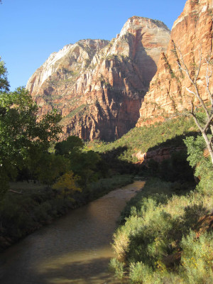 Sandstone cliffs rise above the Virgin River in Zion National Park