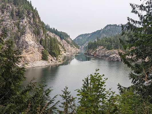 A river flows through a rocky canyon with evergreens framing the foreground