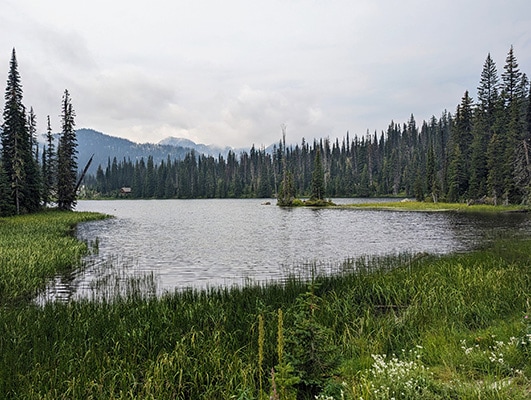 A small alpine lake surrounded by evergreen trees