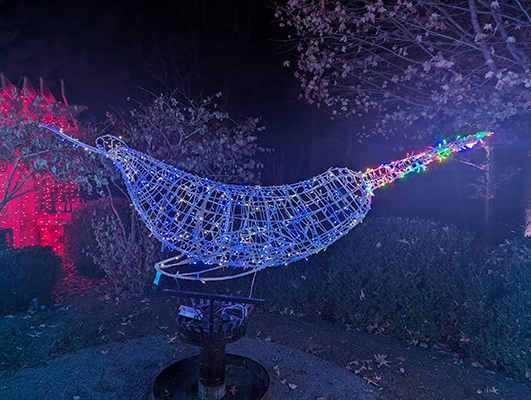 Christmas lights in the shape of a narwhal