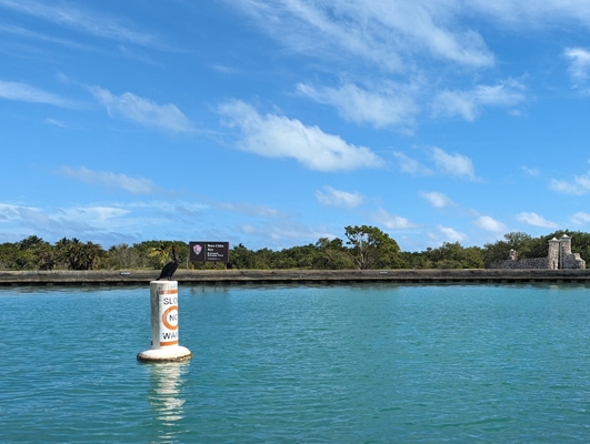 A cormarant rests on a "No Wake" sign for boats with a strip of land and a National Park sign in the background