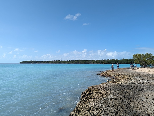 A couple of people are fishing from coral "rock." The water is vibrant blue and there are green mangroves in the distance and blue skies above.