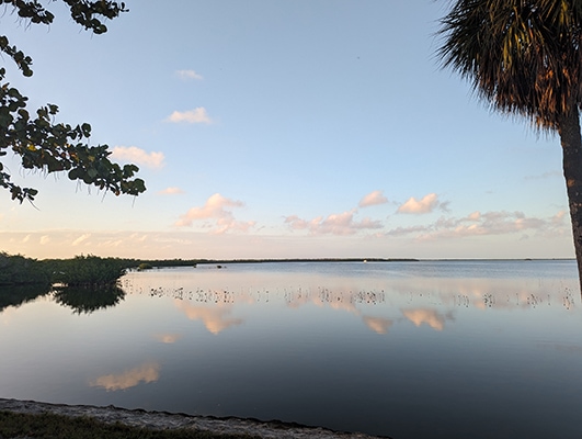 Perfectly still water reflects pink clouds in the fading light. A palm tree and mangroves frame the view