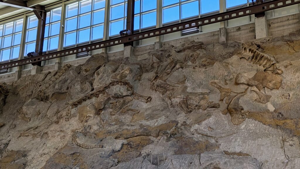 An enclosed structure has been built over a hill full of partially exposed dinosaur fossils