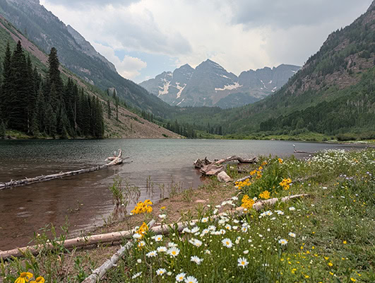 Jagged peaks rise above a shallow lake, with downed logs and yellow and white wildflowers in the foreground