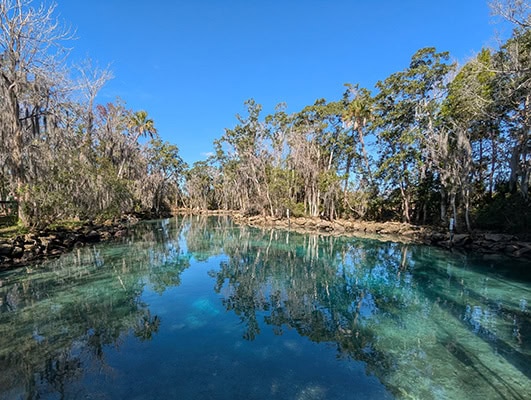 Crystal clear water in all shades of blue with trees along the banks underneath clear blue skies