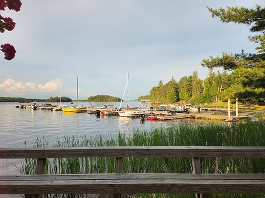 A wooden dock stretches into a blue lake. Yellow, red, and white boats are docked there. Evergreen trees cover the islands and shoreline. Rushes rise up from the water in the foreground